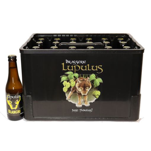 LUPULUS BLANCHE 1/3 (24)