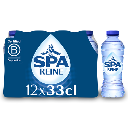 SPA REINE 0.33 (12) PET