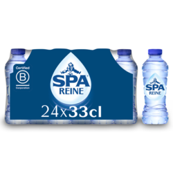 SPA REINE 0.33 (24) PET