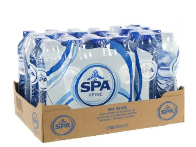 SPA REINE 0.5 (24) PET